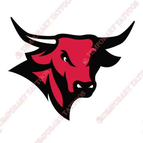 Nebraska Omaha Mavericks Customize Temporary Tattoos Stickers NO.5390